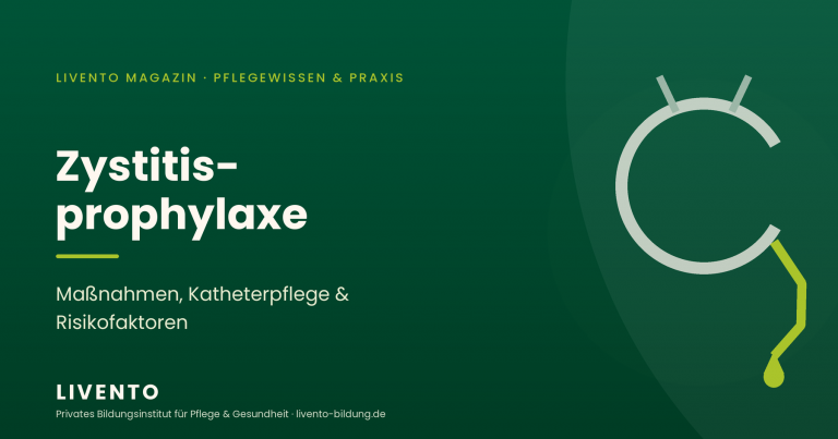 Zystitisprophylaxe in der Pflege – Maßnahmen, Katheterpflege und Risikofaktoren